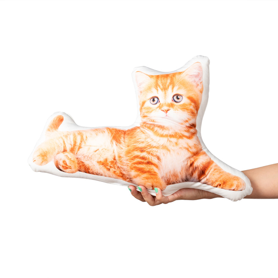 Cat Photo Shaped Cushions