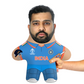Indian Men's Cricketer Face Pillow Mini Me