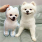 Pet Photo Shaped Cushions