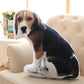 Dog Photo Shaped Cushions